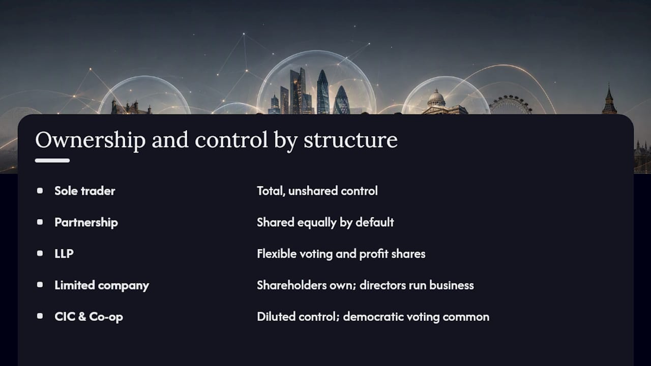 How does ownership and control differ between structures? — overview diagram